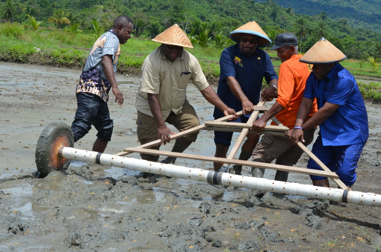 PEMKOT JAYAPURA SIAPKAN 100 HEKTAR LAHAN UNTUK SWASEMBADA PANGAN, TANAMI PADI