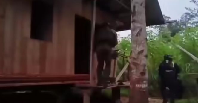 SATGAS ODC TEMBAK MATI 3 ANGGOTA KKB DALAM OPERASI PENYERGAPAN DI YAHUKIMO