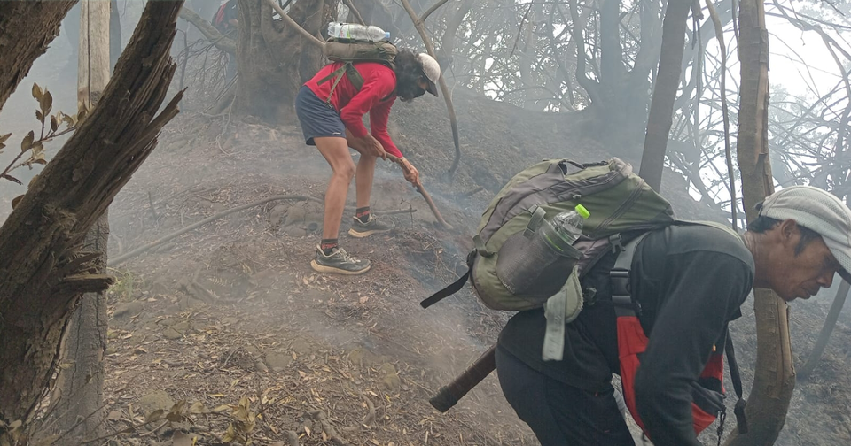 150 PETUGAS GABUNGAN MASIH UPAYAKAN PEMADAMAN API DI TAMAN NASIONAL GUNUNG GEDE