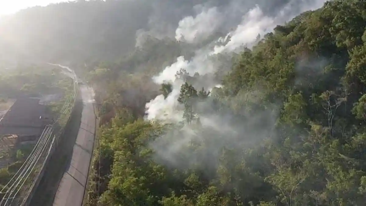 167 TITIK API KEPUNG BIAK NUMFOR, BUPATI LARANG TOTAL PEMBAKARAN LAHAN