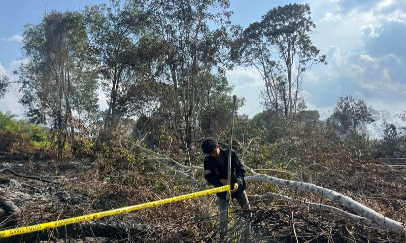 POLISI TETAPKAN SATU ORANG TERSANGKA PEMBAKARAN HUTAN DI PELALAWAN