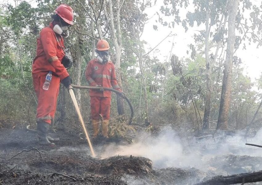 TITIK API KEMBALI BERMUNCULAN, WARGA BIAK NUMFOR DESAK PENANGANAN KARHUTLA DIPERKUAT