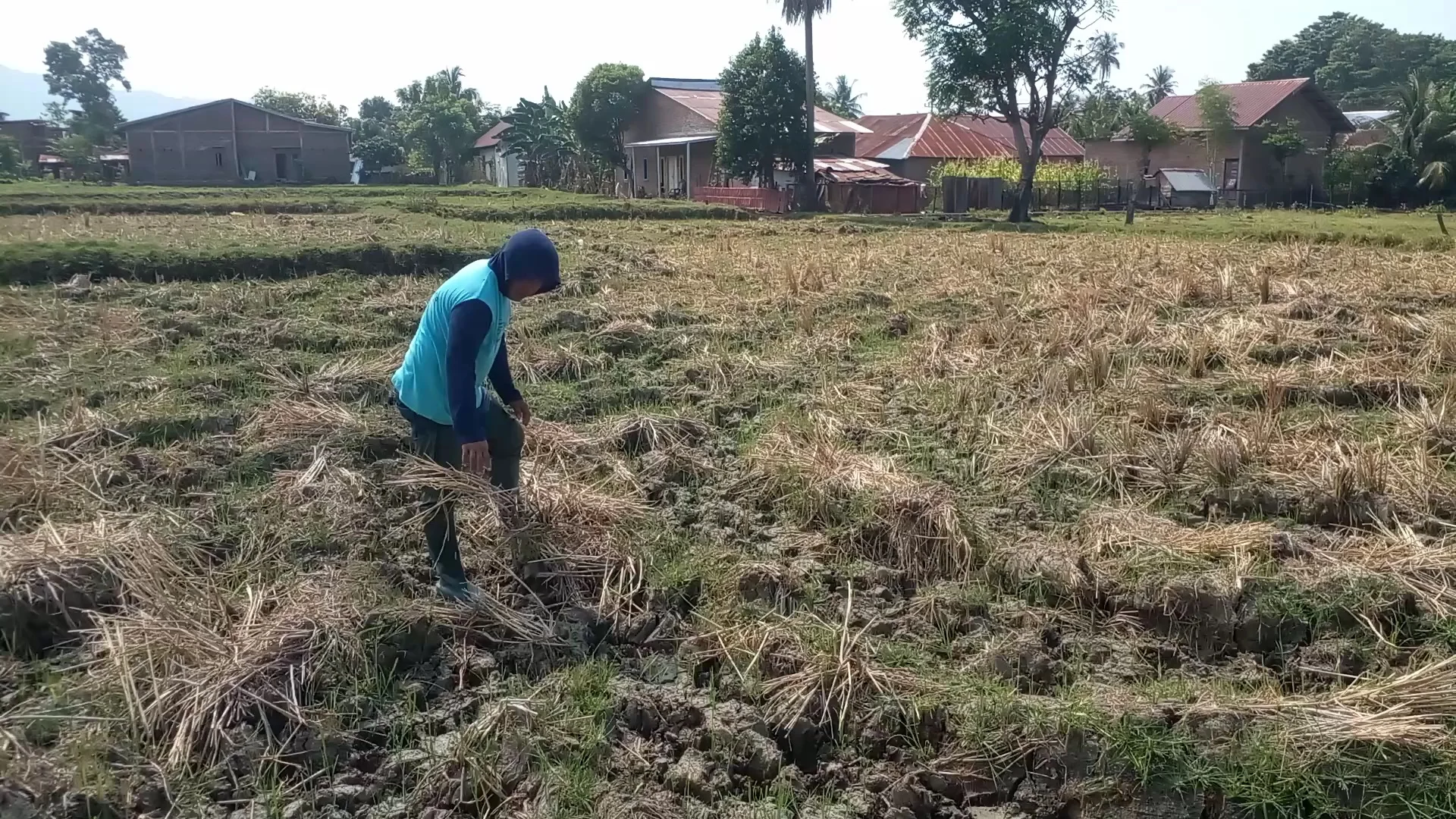 300 POMPA AIR DISIAPKAN PEMPROV SULSEL ATASI DAMPAK KEKERINGAN DI LAHAN PERTANIAN