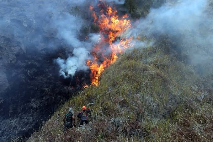 BNPB KERAHKAN 39 PESAWAT-HELIKOPTER  KE  6 PROVINSI RAWAN KARHUTLA, WARGA DIMINTA SEGERA LAPOR TITIK API