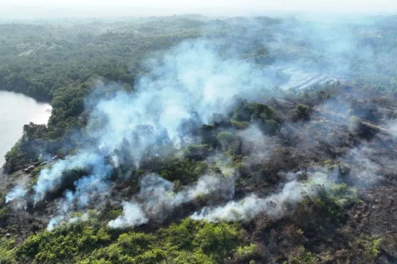 KARHUTLA 10,65 HEKTARE DI SEPAN PENAJAM, TIM GABUNGAN TERJUN UNTUK PADAMKAN API