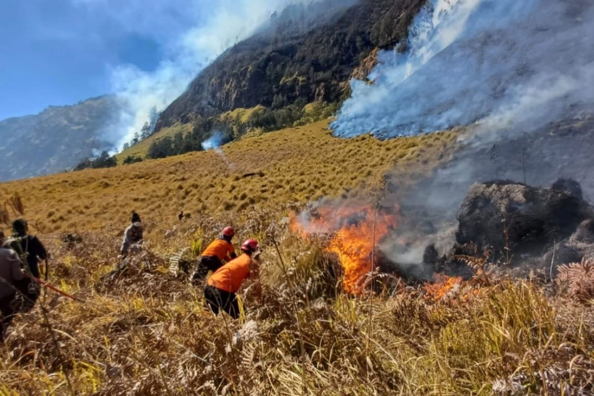 AGAR PEMADAMAN KEBAKARAN EFEKTIF, PENGELOLA TNBTS TUTUP SEMUA AKSES WISATA