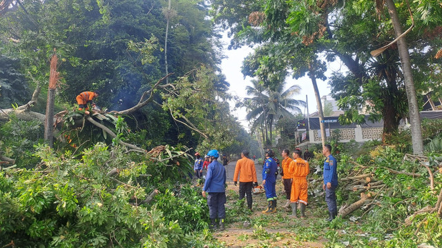 NGERI 6 POHON TUMBANG BERSAMAAN DI BARANANGSIANG BOGOR TIMPA WARGA BELI SAYUR 4 LUKA DIBAWA KE RS