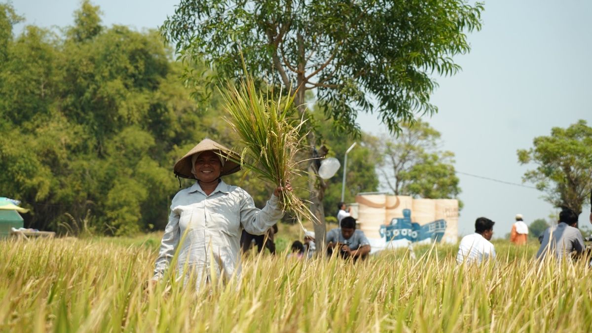 MITOS LAHAN MATI Di PALI TERPATAHKAN, DESA PENGABUAN YANG DULU TERCEMAR KINI JADI LUMBUNG PANGAN