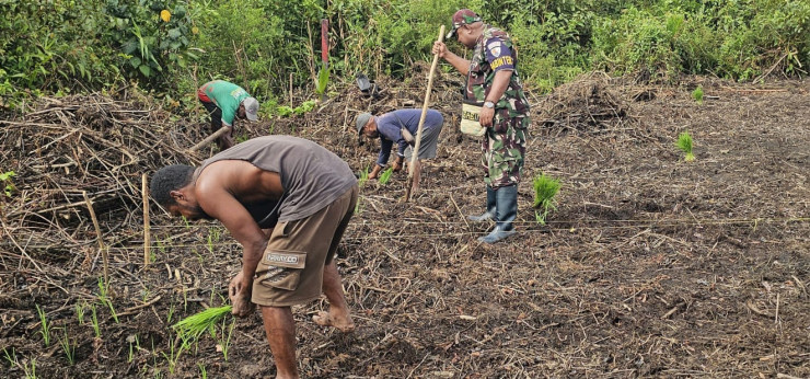 PERKUAT KETAHANAN PANGAN LOKAL, BABINTERAU LANUD YKU DAMPINGI PETANI SUKU KAMORO TANAM PADI GOGO DI NAWARIPI