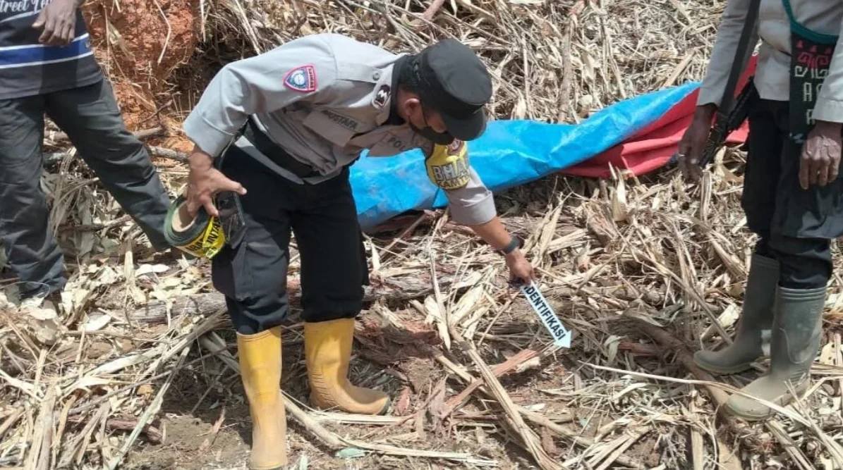 BULLDOZER TANPA OPERATOR TABRAK TUMPUKAN KAYU, PEKERJA PT MNM DITEMUKAN MENINGGAL
