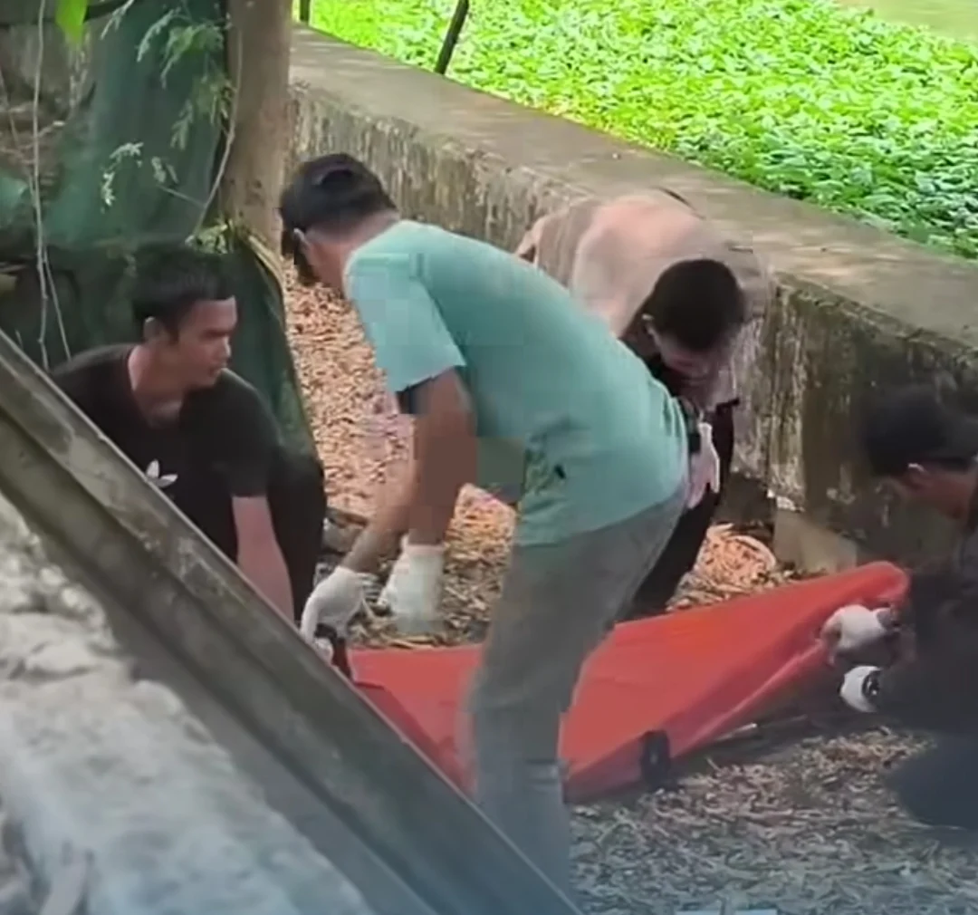 SESOSOK MAYAT PRIA DI TEMUKAN MENGAMBANG DI KALIMALANG KABUPATEN BEKASI