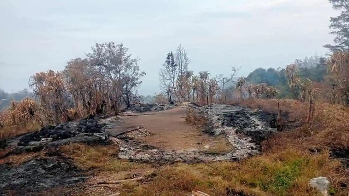 TANGGAP DARURAT BENCANA: BPBD DAN PEMKAB JAYAWIJAYA DIDORONG SALURKAN BANTUAN LOGISTIK BAGI KORBAN KARHUTLA DI SIEPKOSI