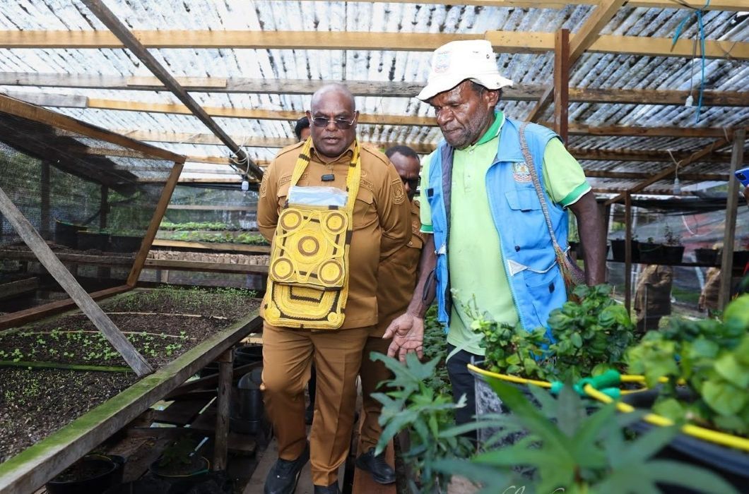 GUBERNUR PAPUA TENGAH SOROTI POTENSI PERTANIAN DEIYAI, 10 RIBU BIBIT POHON DISIAPKAN UNTUK PENGHIJAUAN
