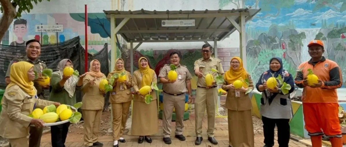 37 KG MELON EMAS DARI LAHAN 54 METER, DUREN SAWIT BUKTIKAN KETAHANAN PANGAN BISA TUMBUH DI TENGAH KOTA