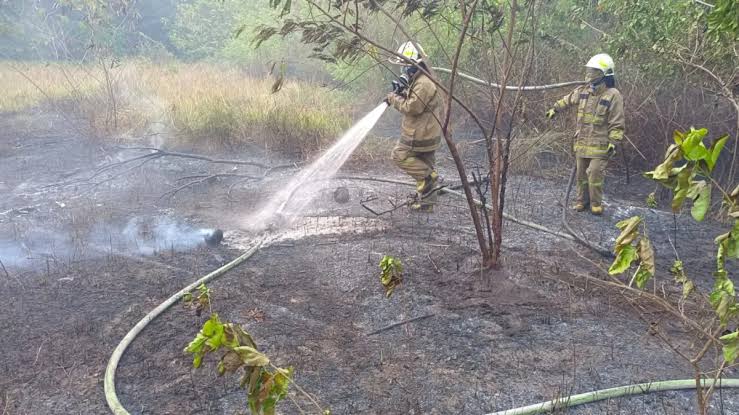 PUNTUNG ROKOK PICU KEBAKARAN LAHAN 300 METER PERSEGI DI PULAU TIDUNG, WARGA PANIK API MEMBESAR
