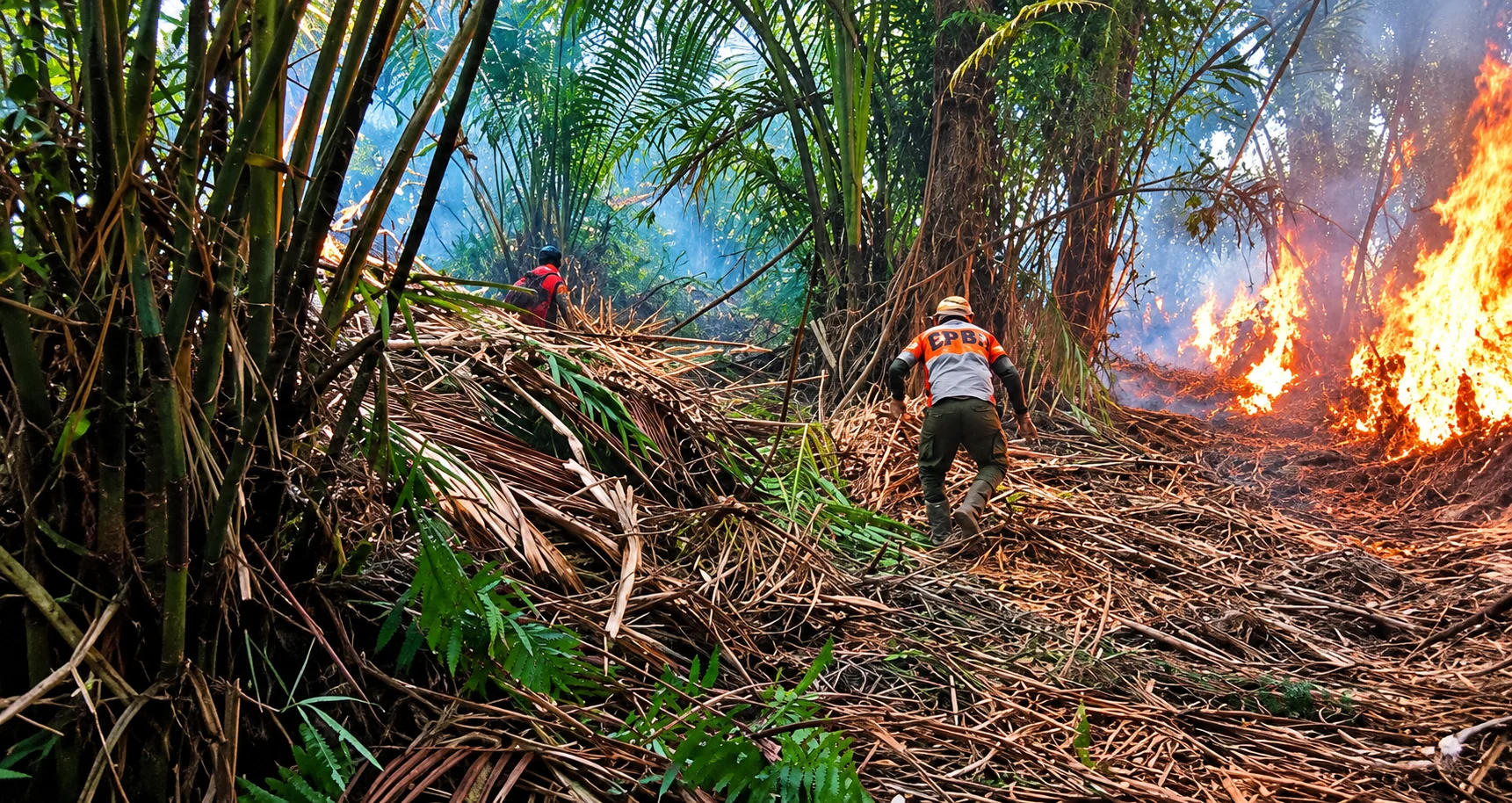 TIGA HARI API MELAHAP DUSUN SAGU DI MERAUKE, PEMERINTAH DIDESAK SEGERA TURUN TANGAN