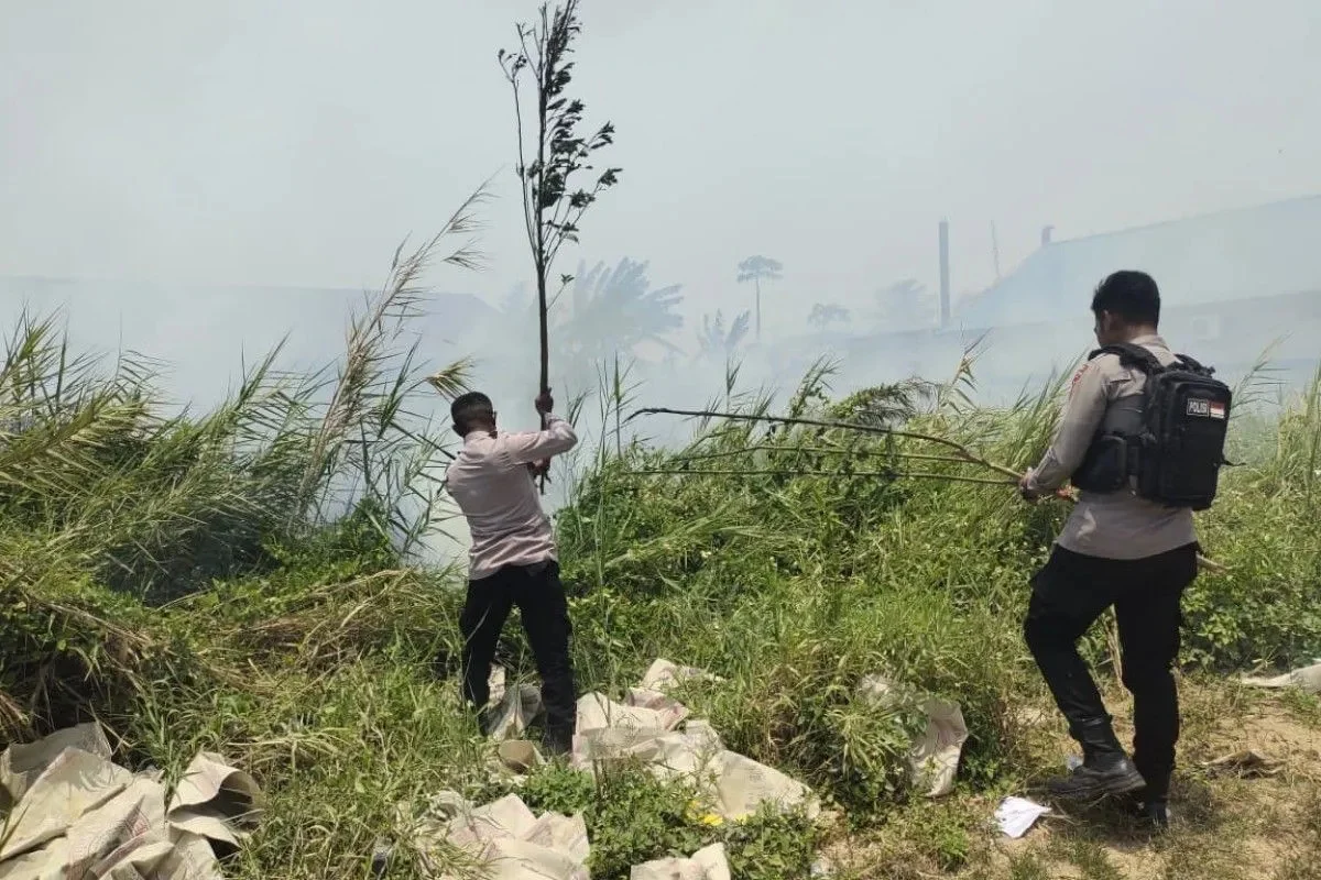 PENURUNAN TITIK API CAPAI 78 PERSEN DI TANAH PAPUA, BMKG MINTA PEMDA PERKUAT KESIAPSIAGAAN KARHUTLA DAN PENGAWASAN KUALITAS UDARA