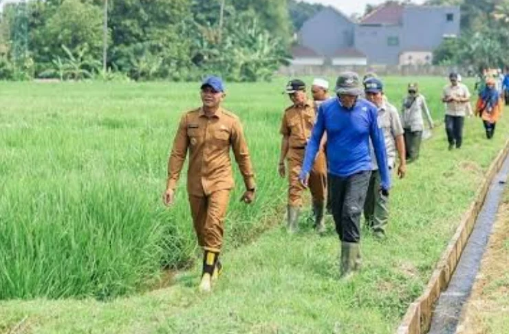 SISA 58 HEKTARE, PEMKOT BOGOR BERJUANG JAGA LAHAN PERTANIAN DARI GEMPURAN BETON