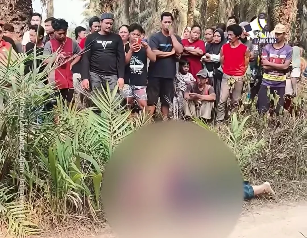 IDENTITAS JENAZAH PEREMPUAN DI KEBUN SAWIT MESUJI TERUNGKAP, POLISI TUNGGU HASIL AUTOPSI UNTUK UNGKAP PENYEBAB KEMATIAN