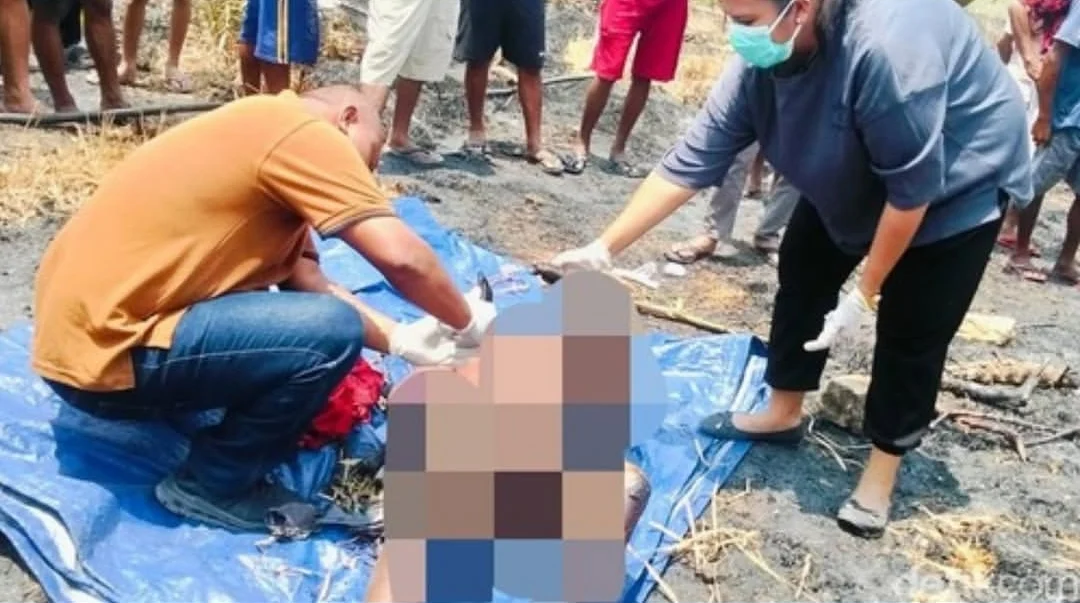 PETANI TEWAS TERBAKAR SAAT KEBAKARAN LAHAN DI KUPANG