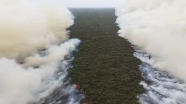 KARHUTLA TANJUNG PUTING MEMBURUK, 513,89 HEKTARE TERBAKAR DAN TOTAL 639,23 HEKTARE MASIH MENYALA DI ENAM PROVINSI