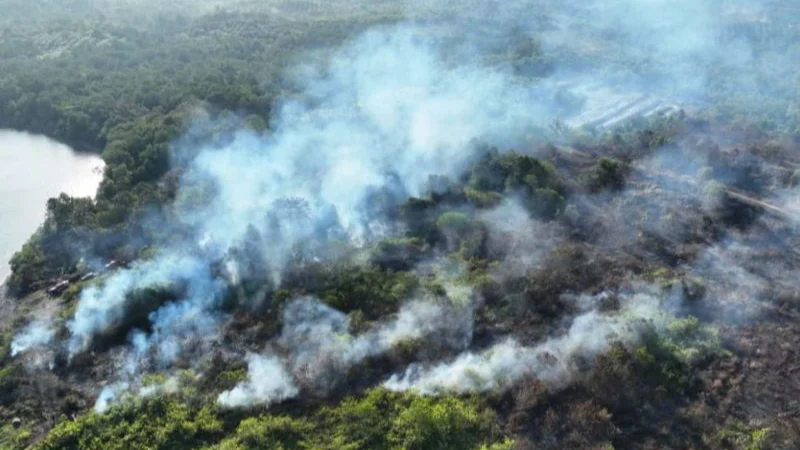 454 HEKTARE LAHAN TERBAKAR DI SUMATERA-KALIMANTAN BERHASIL DIPADAMKAN, 570 HEKTARE MASIH BERJUANG