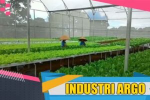 Sektor Industri Agro Berkontribusi 51,16% Terhadap Pertumbuhan Industri Pengolahan Nonmigas. 