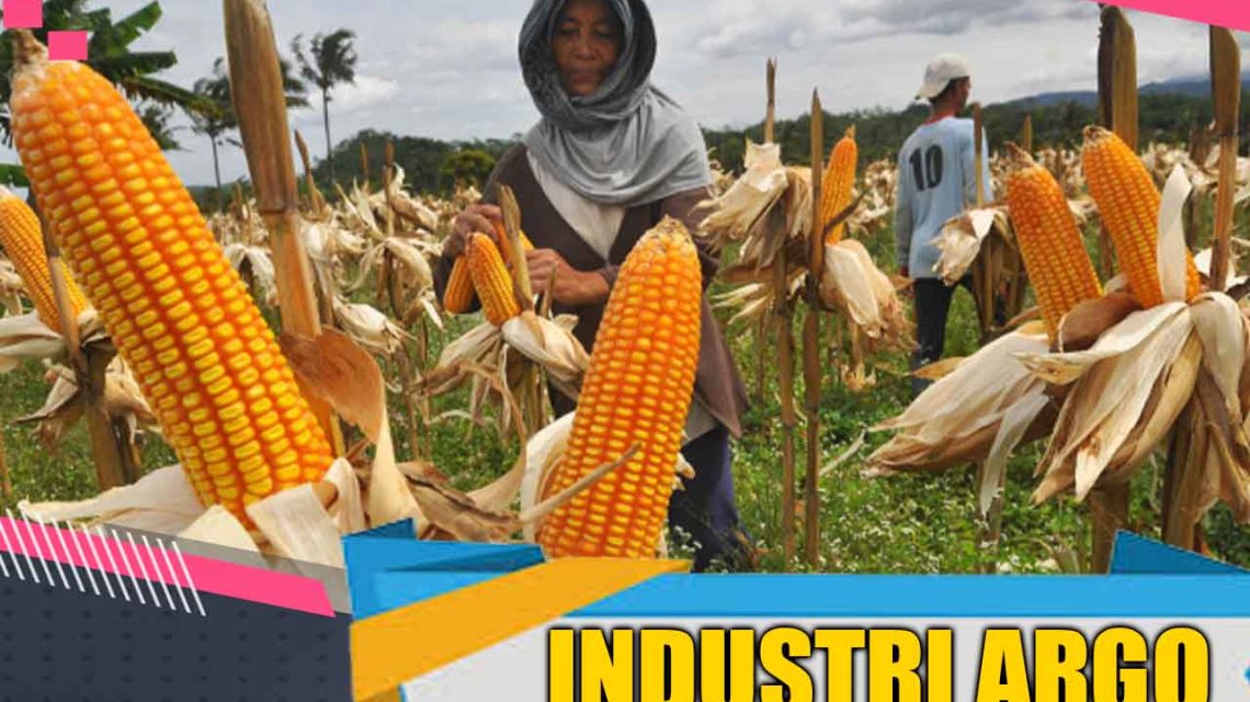 Ilustrasi Sektor Industri Agro Berkontribusi 51,16% Terhadap Pertumbuhan Industri Pengolahan Nonmigas.