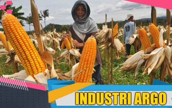 Ilustrasi Sektor Industri Agro Berkontribusi 51,16% Terhadap Pertumbuhan Industri Pengolahan Nonmigas.