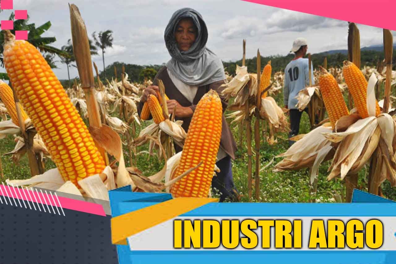 Ilustrasi Sektor Industri Agro Berkontribusi 51,16% Terhadap Pertumbuhan Industri Pengolahan Nonmigas.