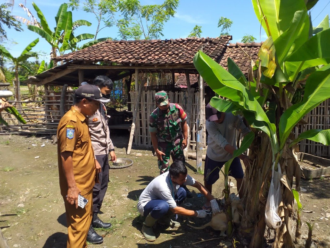 PEMDA KSB TETAPKAN RABIES JADI KEJADIAN LUAR BIASA, INI YANG DILAKUKAN BABINSA SETEMPAT